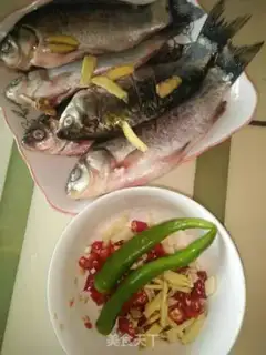 Make Red-burned minnow step 1
