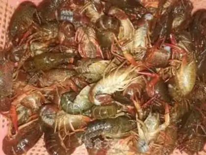 Make Spicy lobster step 3