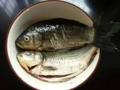 Make Sourfish step 1