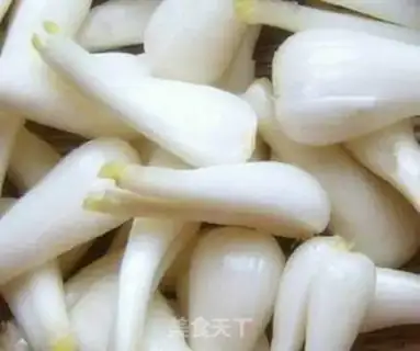 Make Zip step 1