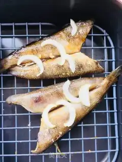 Make An Antarctic ice fish when it