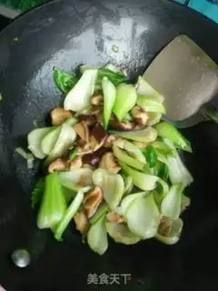 Make Mushroom oil step 8