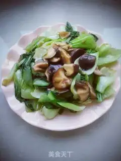 Make Mushroom oil step 10