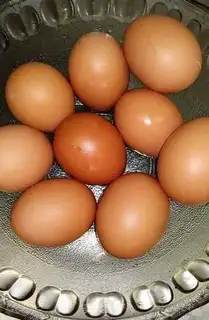 Make Steam eggs step 0