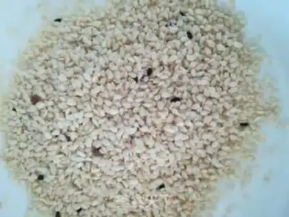 Make Pumpkin sesame ball step 5