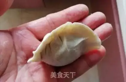 Make Pork dumplings step 3