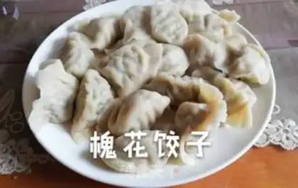 Make Pork dumplings step 6