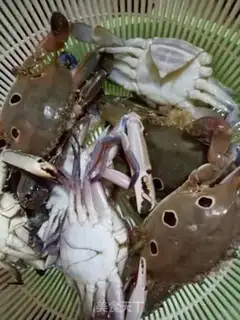 Make Crabs step 0
