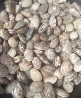 Make Pop-fried clams step 1