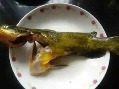 Make Steamed eggs step 1