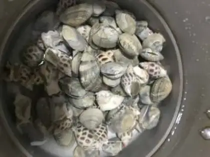 Make Snails step 1