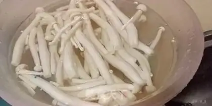 Make A white mushroom step 0