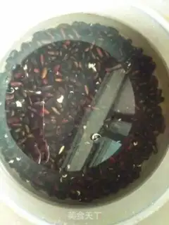 Make Rodent step 2