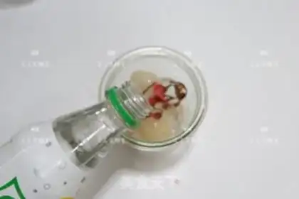 Make Sakura step 5