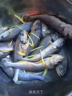Make Fried yellowfish step 2