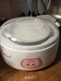 Make Homemade yogurt step 5