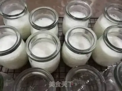 Make Homemade yogurt step 6