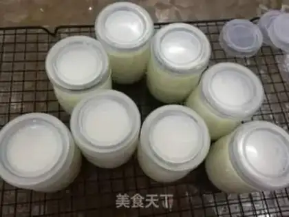 Make Homemade yogurt step 8