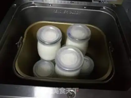 Make Homemade yogurt step 9