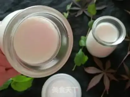 Make Homemade yogurt step 11
