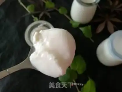 Make Homemade yogurt step 12