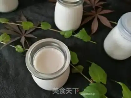 Make Homemade yogurt step 13