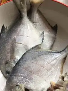 Make The dry silverfish step 0