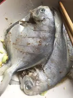 Make The dry silverfish step 2