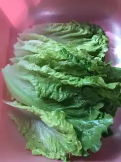 Make Codburger step 2