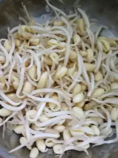 Make Soybean sprouts step 0
