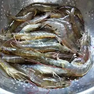 Make Garlic fan shrimp step 2
