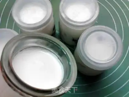 Make Low-carbon, green rose yogurt step 13