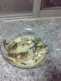 Make step 8