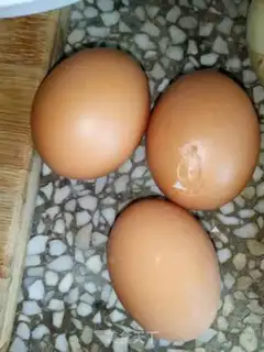 Make Protein corn brand step 1