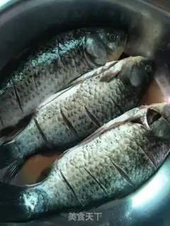 Make Creamfish step 0