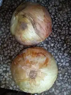 Make Onion soup step 0
