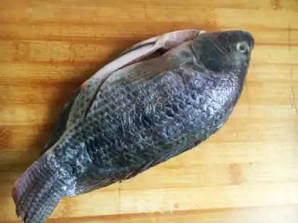 Make A red-burned tilapia step 0