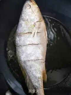 Make Jealousy yellowfish step 5