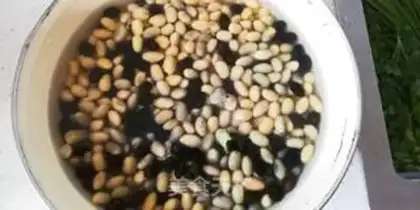 Make Seafood beans step 0
