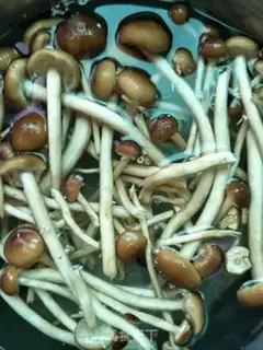 Make Tea mushroom fried meat step 0