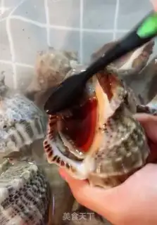 Make Cook the conch step 0