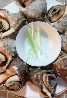 Make Cook the conch step 2