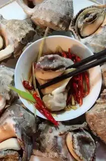 Make Cook the conch step 5