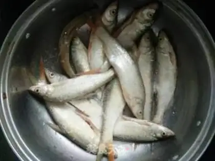 Make Spicy riverfish step 1