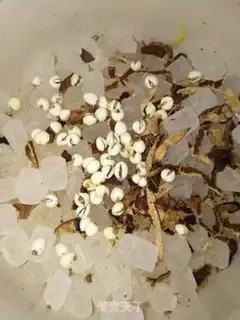 Make Tsang Bei