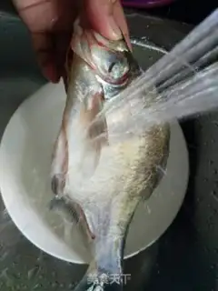 Make Red-hot Edge Fish step 2