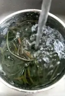 Make The seaweed step 2