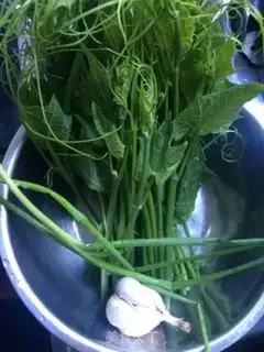 Make Sour pea seed step 0