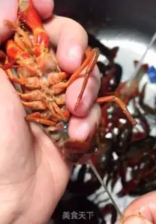 Make Vacuate the lobster step 1