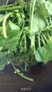 Make Sour pea seed step 2